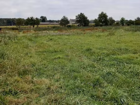 vente terrain 712 m² à evran (22630)  86 000 €