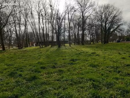 terrain 1 000 m² grayan et l hopital