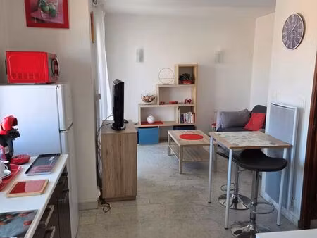 apt t1bis + terrasse proche iut