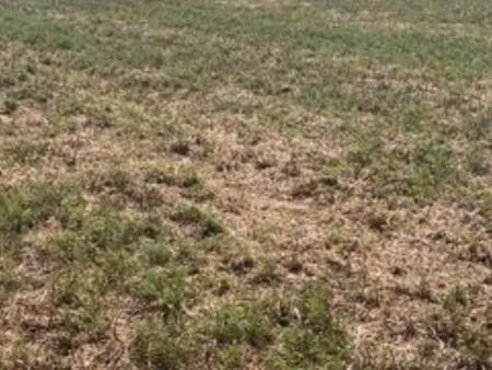 terrain agricole jnm