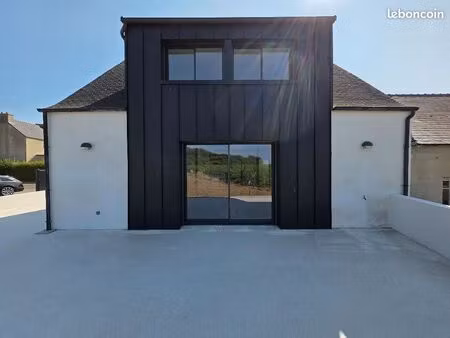 loft/atelier/surface 3 pièces 113 m²