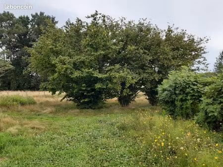 terrain 530 m² le taillan medoc