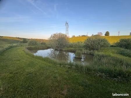 étang