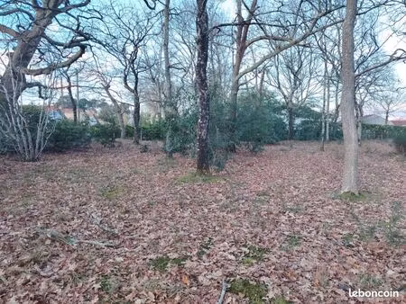 terrain à bâtir de 560 m² à mont-de-marsan (40)