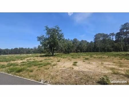 terrain 1 144 m² vendays montalivet