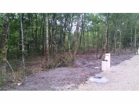 vente terrain 646 m² à lugos (33830)  117 900 €