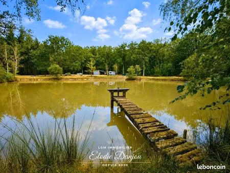 terrain 19 969 m² mur de sologne