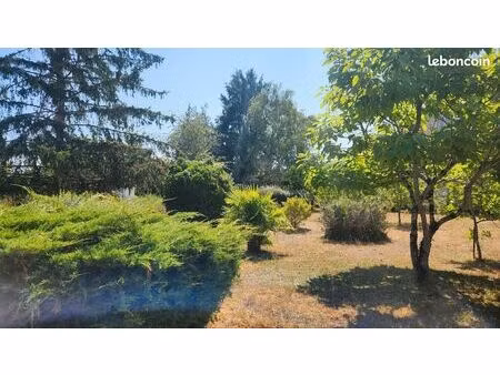 terrain constructible