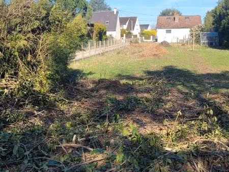 terrain constructible