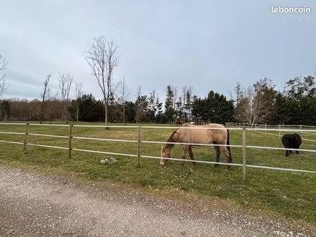 location box + pré chevaux