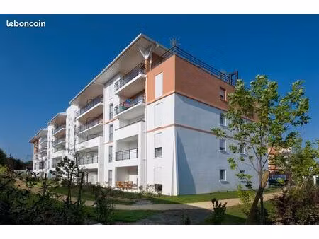 appartement 1 pièce 37 m²