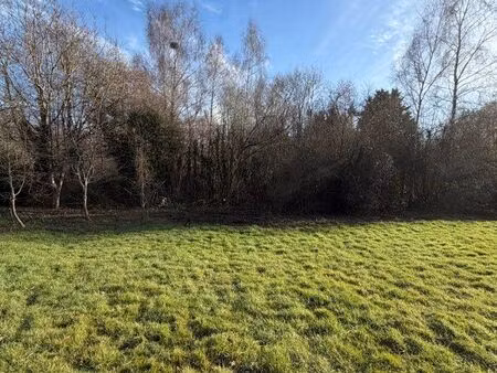 terrain constructible