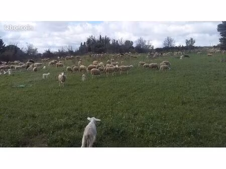 ferme à reprendre