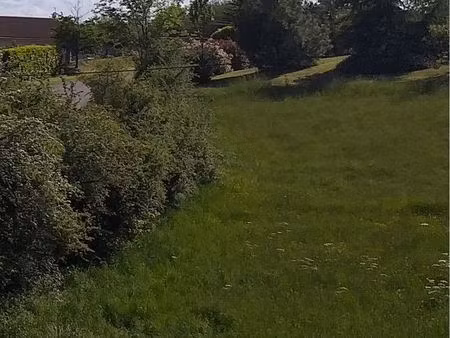 terrain constructible