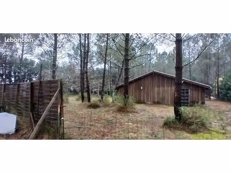 grand bâtiment en bois