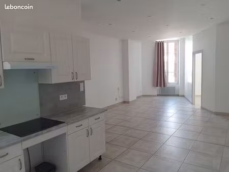appartement centre-ville roanne