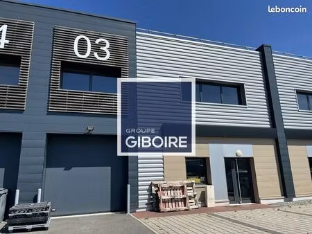 local d'activité 343 m²