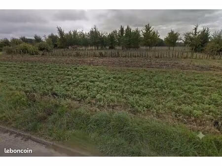 terrain 1000m2