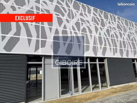 local d'activité 266 m²