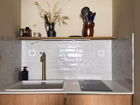 studio 1 pièce 26 m²