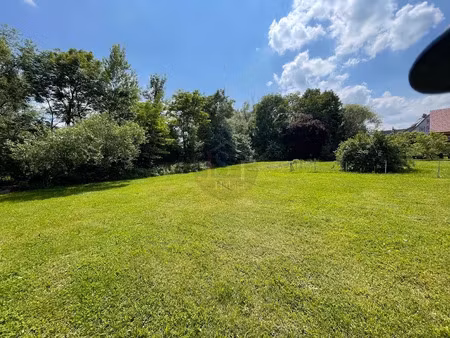 vente terrain à batir 1170 m² à offendorf (67850)  199 500 €