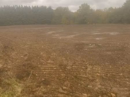 terrain agricole