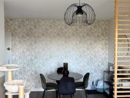 appartement à louer 41m2  proche du champ de foire