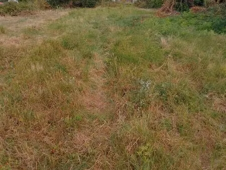 terrain constructible