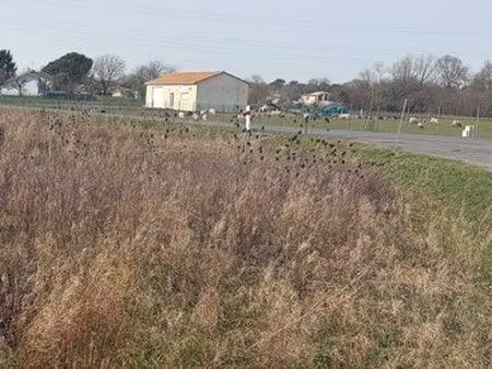 terrain agricole