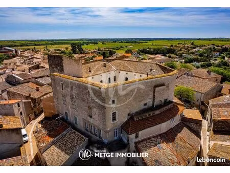 chateau 20 pièces 1300 m²
