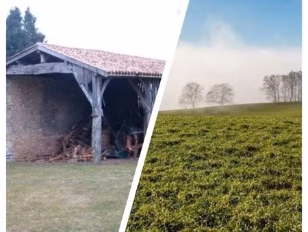 recherche petit terrain ou hangar