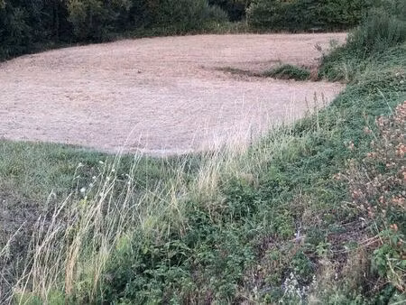 terrain de loisir ou futur verger