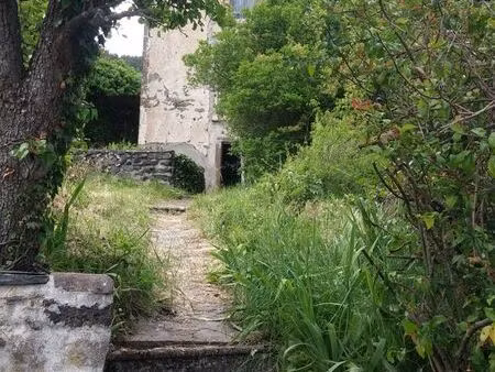 terrain et maisonnette de vigne