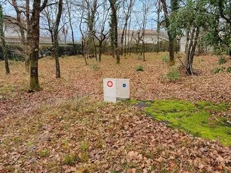 terrain calme et arboré de 800 m2 à andernos-les-bains