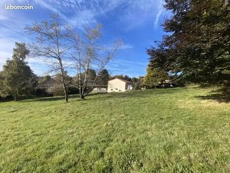 terrain à bâtir de 1650 m² à saint-didier-en-velay (43)