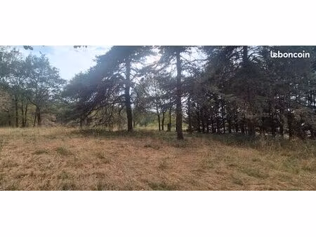 terrain arboré
