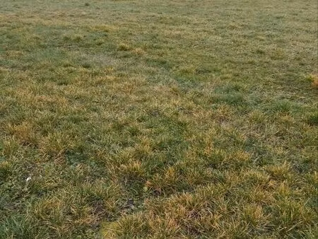 terrain à bâtir