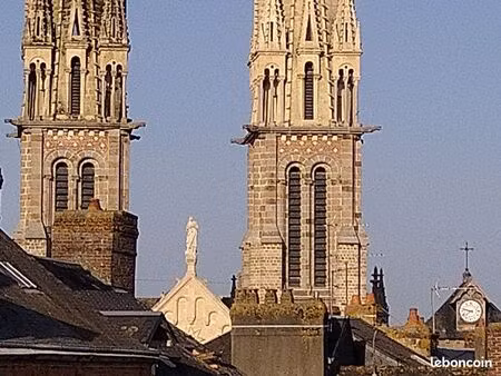 t3 lumineux  renové aux dernières normes environnementales