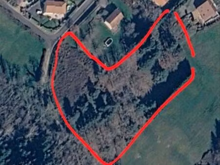 terrain arboré ris