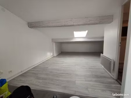 studio 20m2 (carrez)+20m2- quartier st michel- lumineux