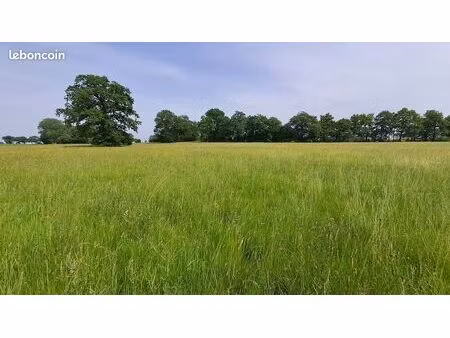 à vendre parcelle de terre agricole
