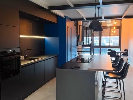 disponible à partir du 15 octobre (pour 6 mois maximum) - loft t3 avec terrasse orientée s