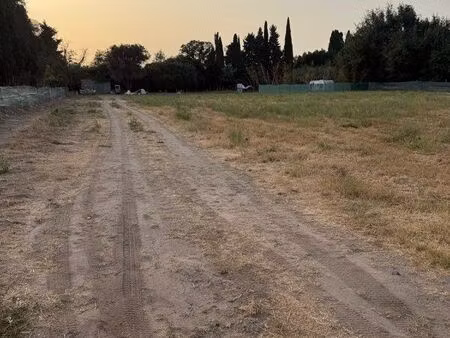 terrain agricole