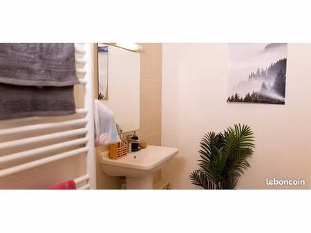 studio 1 pièce 19 m²