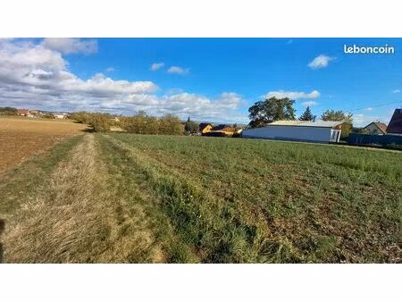 terrain de 2679 m² waldolwisheim