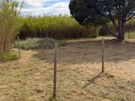 terrain agricole
