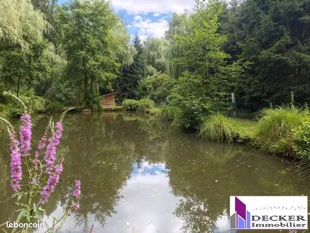 terrain 1414 m² sparsbach