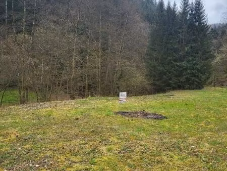 terrain 1 286 m² grandfontaine