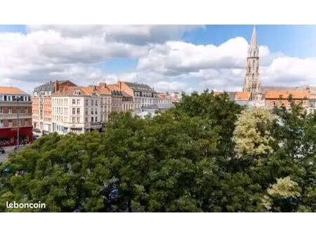 vends appartement duplex cosy vue panoramique