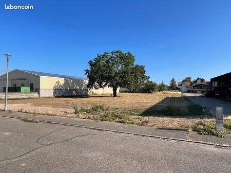 terrain 1000 m2 blodelsheim